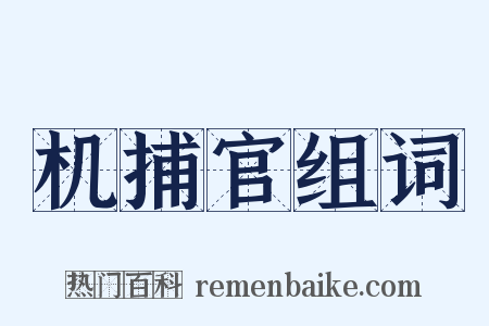 机捕官组词是什么意思的图片